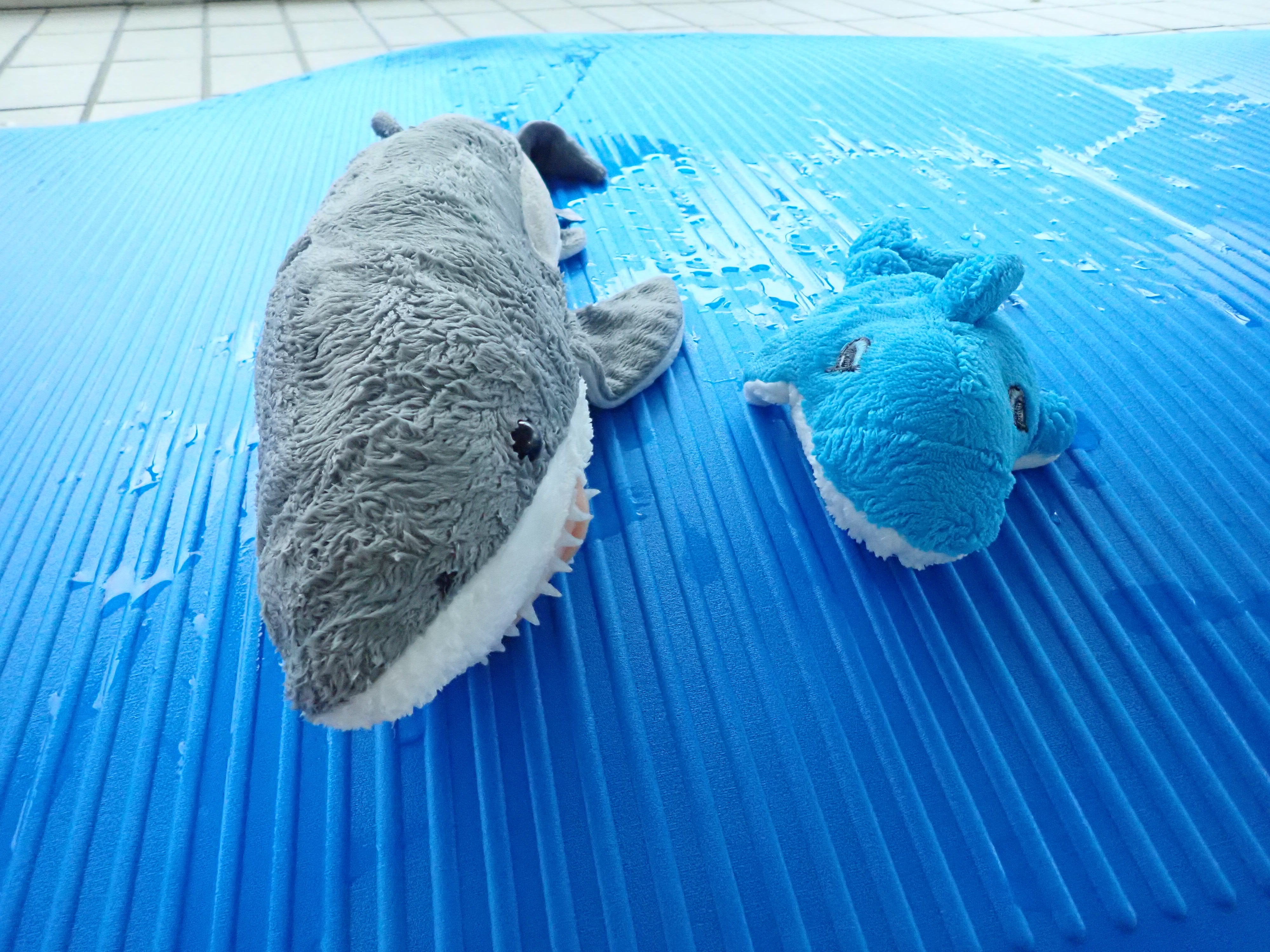 Aquakids
