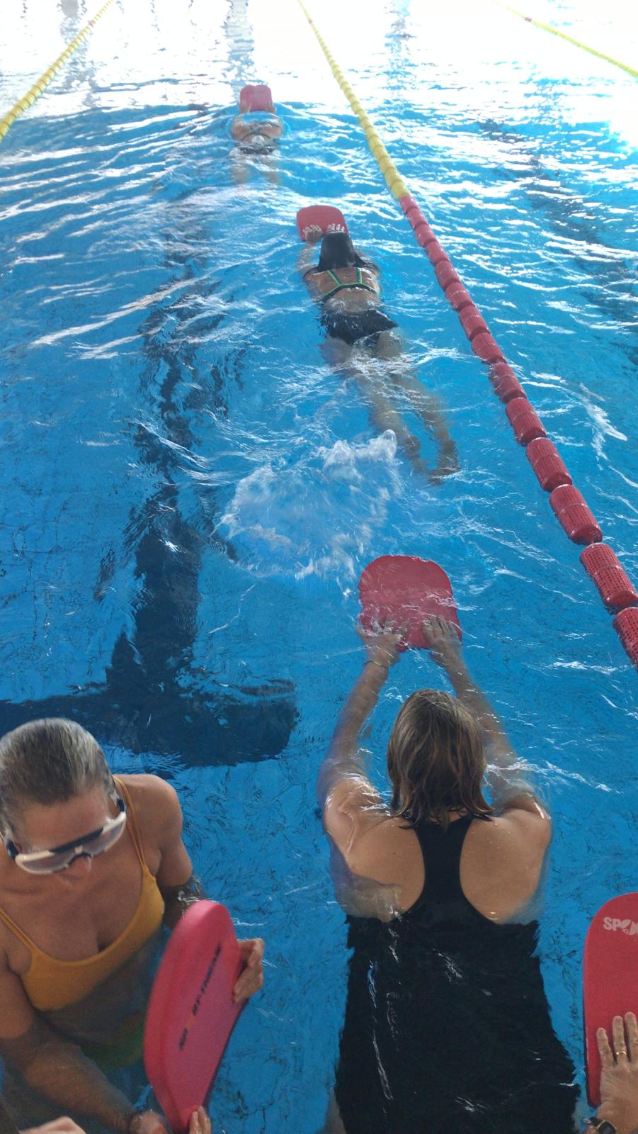 Schwimmen lernen Anfänger
