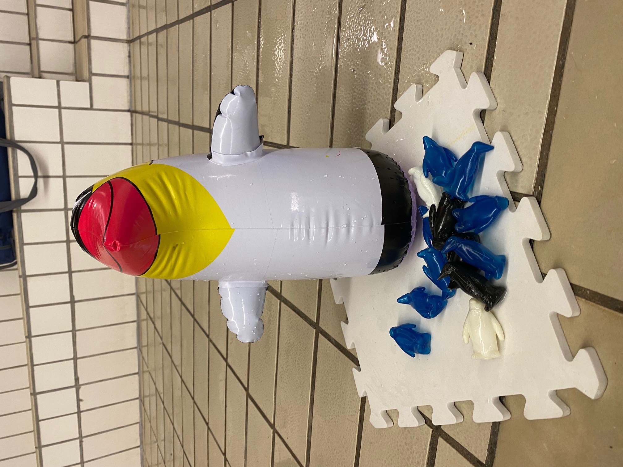 Kinderschwimmen OÖ